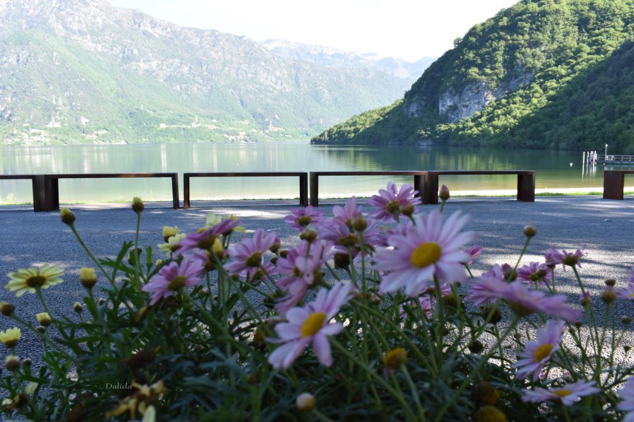 B&B Tulipano Crone Bagian luar foto