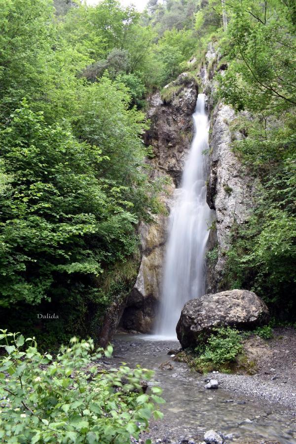 B&B Tulipano Crone Bagian luar foto