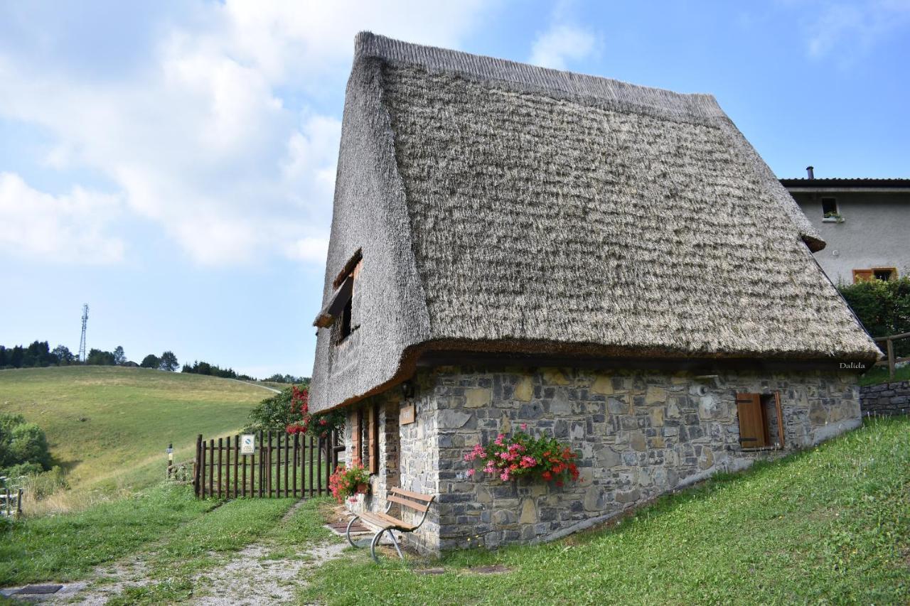 B&B Tulipano Crone Bagian luar foto