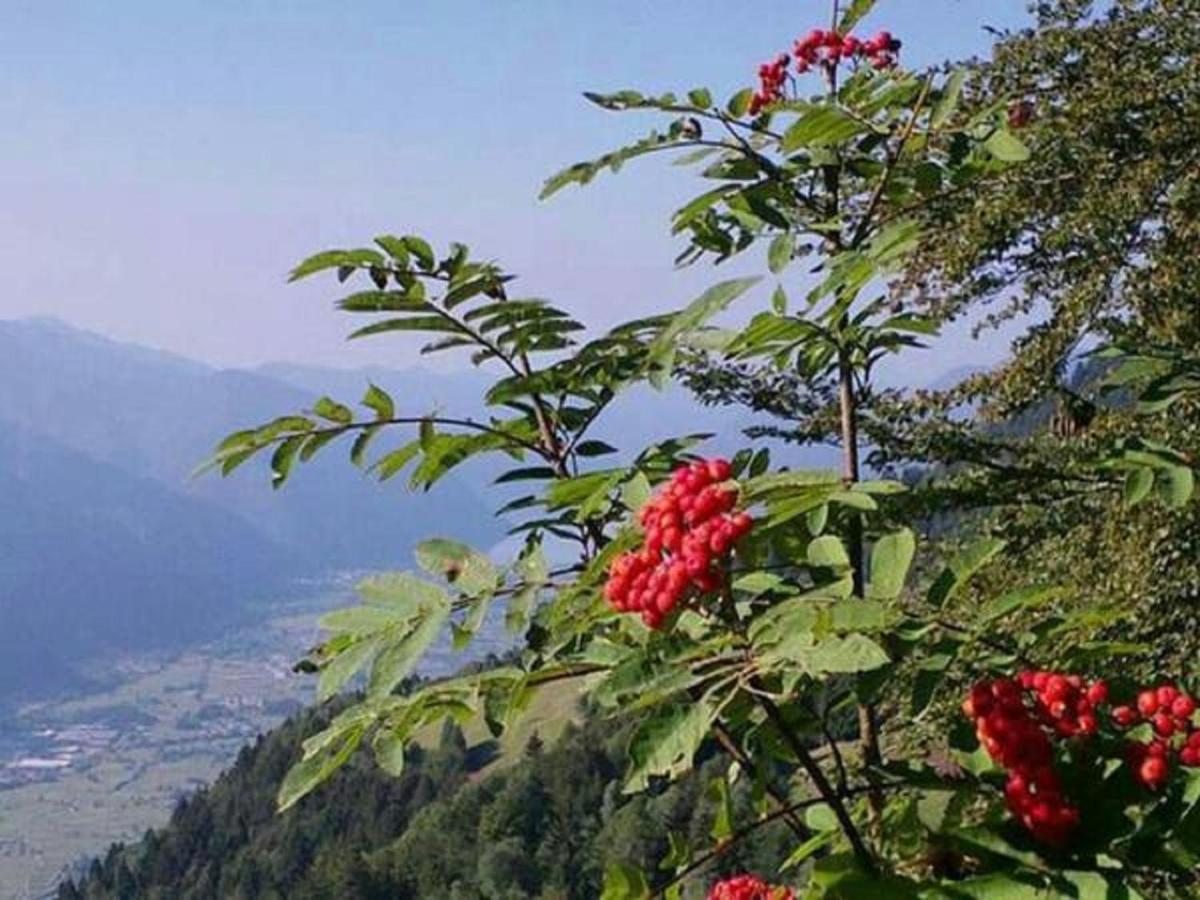B&B Tulipano Crone Bagian luar foto