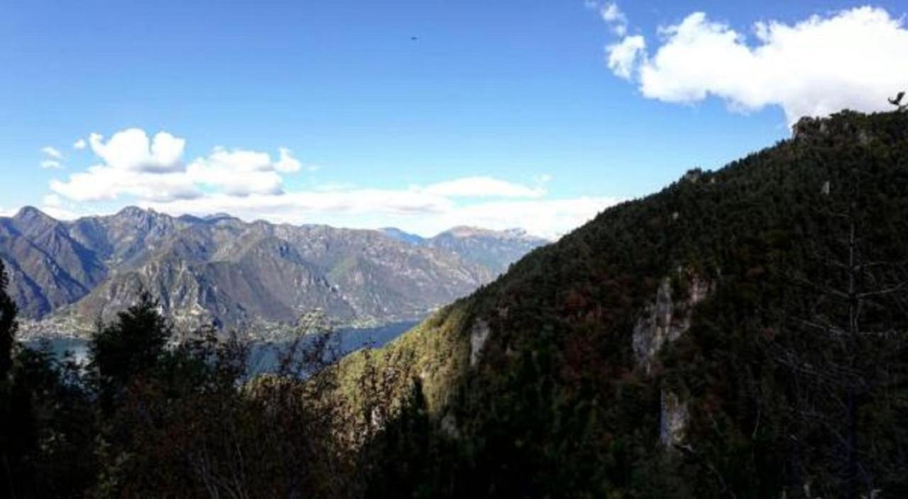 B&B Tulipano Crone Bagian luar foto