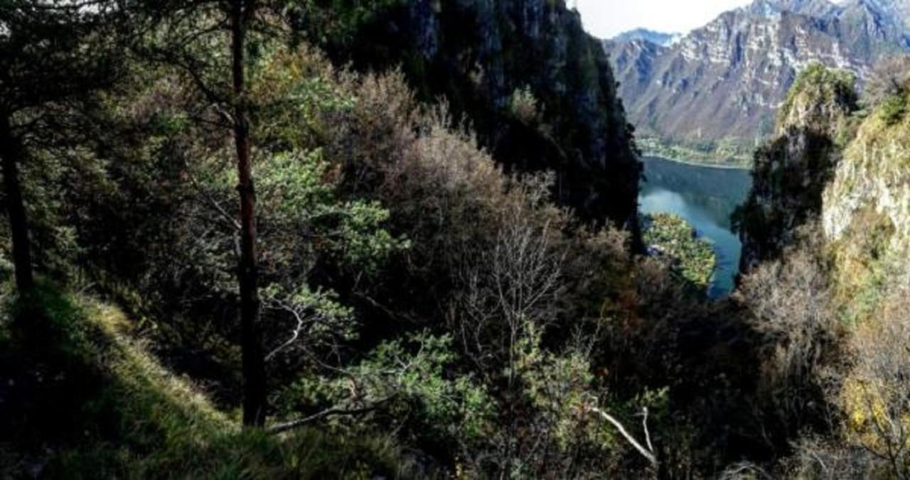 B&B Tulipano Crone Bagian luar foto